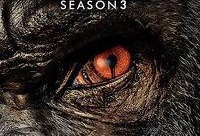 困兽在线观看,揭秘网络世界的囚笼人生